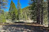 79402 State Highway 3 - Photo 24