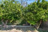 17835 Tarzana Street - Photo 27