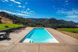 8680 Alamo Creek - Photo 13