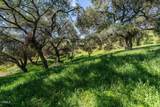 4700 Rising Hill Road - Photo 3