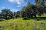 4700 Rising Hill Road - Photo 6