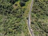 4700 Rising Hill Road - Photo 28