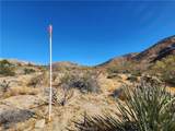29 Palms Highway - Photo 10