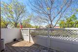13 Milkwood - Photo 30