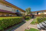 3049 Los Prados Street - Photo 19