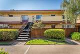 3049 Los Prados Street - Photo 2