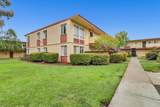 3049 Los Prados Street - Photo 21