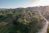 13804205 Pennyroyal Lane - Photo 8