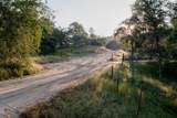 13804205 Pennyroyal Lane - Photo 5