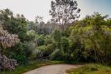 13804205 Pennyroyal Lane - Photo 7