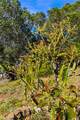 957 Skyline Drive - Photo 28