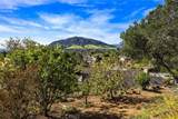957 Skyline Drive - Photo 33