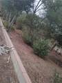 42800 Calle Capistrano - Photo 4