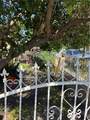 1229 59th - Photo 3