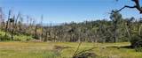 15687 Stagecoach - Photo 11