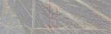 725 Desert Flower Road - Photo 4