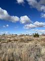 3033 Arcadia - Photo 1