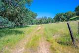 0 Nacimiento Shores - Photo 29
