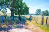 0 Nacimiento Shores - Photo 30