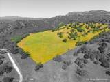 0 Nacimiento Shores - Photo 33