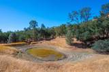 0 Nacimiento Shores - Photo 40