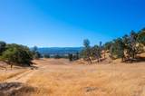 0 Nacimiento Shores - Photo 42