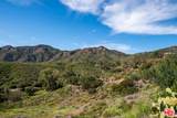 34229 Mulholland Highway - Photo 19