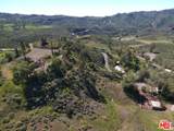 34229 Mulholland Highway - Photo 23