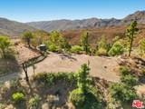34229 Mulholland Highway - Photo 3