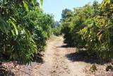 0 Camulos Street - Photo 11