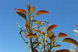 0 Camulos Street - Photo 19