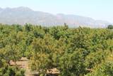 0 Camulos Street - Photo 22