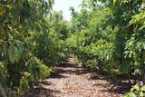 0 Camulos Street - Photo 28