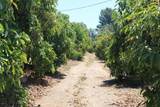 0 Camulos Street - Photo 29