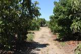 0 Camulos Street - Photo 32