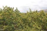 0 Camulos Street - Photo 5