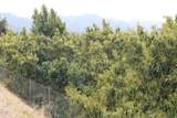 0 Camulos Street - Photo 6