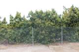 0 Camulos Street - Photo 8