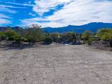 206 Palm Ridge - Photo 8