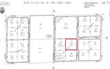 12498 Ailanthus - Photo 1