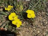 54740 Cave Rock Road - Photo 43