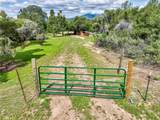 53899 Dogwood Drive - Photo 1
