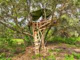 53899 Dogwood Drive - Photo 16