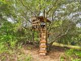 53899 Dogwood Drive - Photo 17