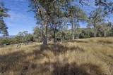0 39.29 AC Village Drive - Photo 11