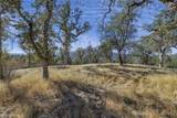 0 39.29 AC Village Drive - Photo 13