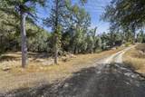 0 39.29 AC Village Drive - Photo 2