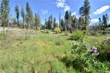 6 Sugar Pine - Photo 2