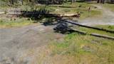 6 Sugar Pine - Photo 5