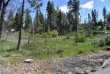6 Sugar Pine - Photo 7